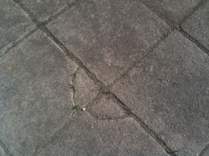 Fortfarande kan man se spår av kriget där vi gått fram med hammare och slag.